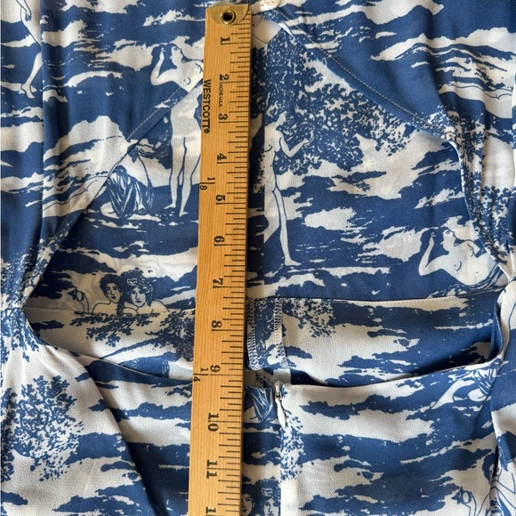 Reformation Naked Lunch Print Blue and White Maxi Dress - Picture 15 of 15